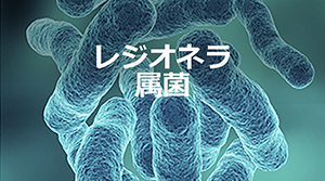 202389502-Hospitals-GPP-campaign-2023-_サムネイル_レジオネラｂ_300.png