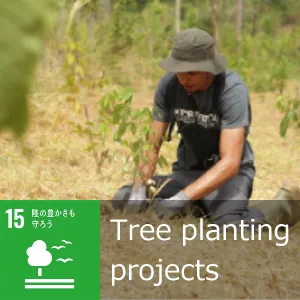 Tree planting projects